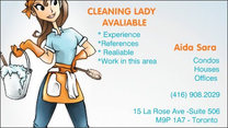 Aida Sara Cleaning Service Logo 