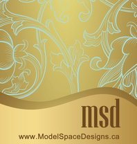 Model Space Designs logo 