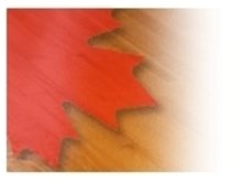 Canada Hardwood Flooring Inc. logo 